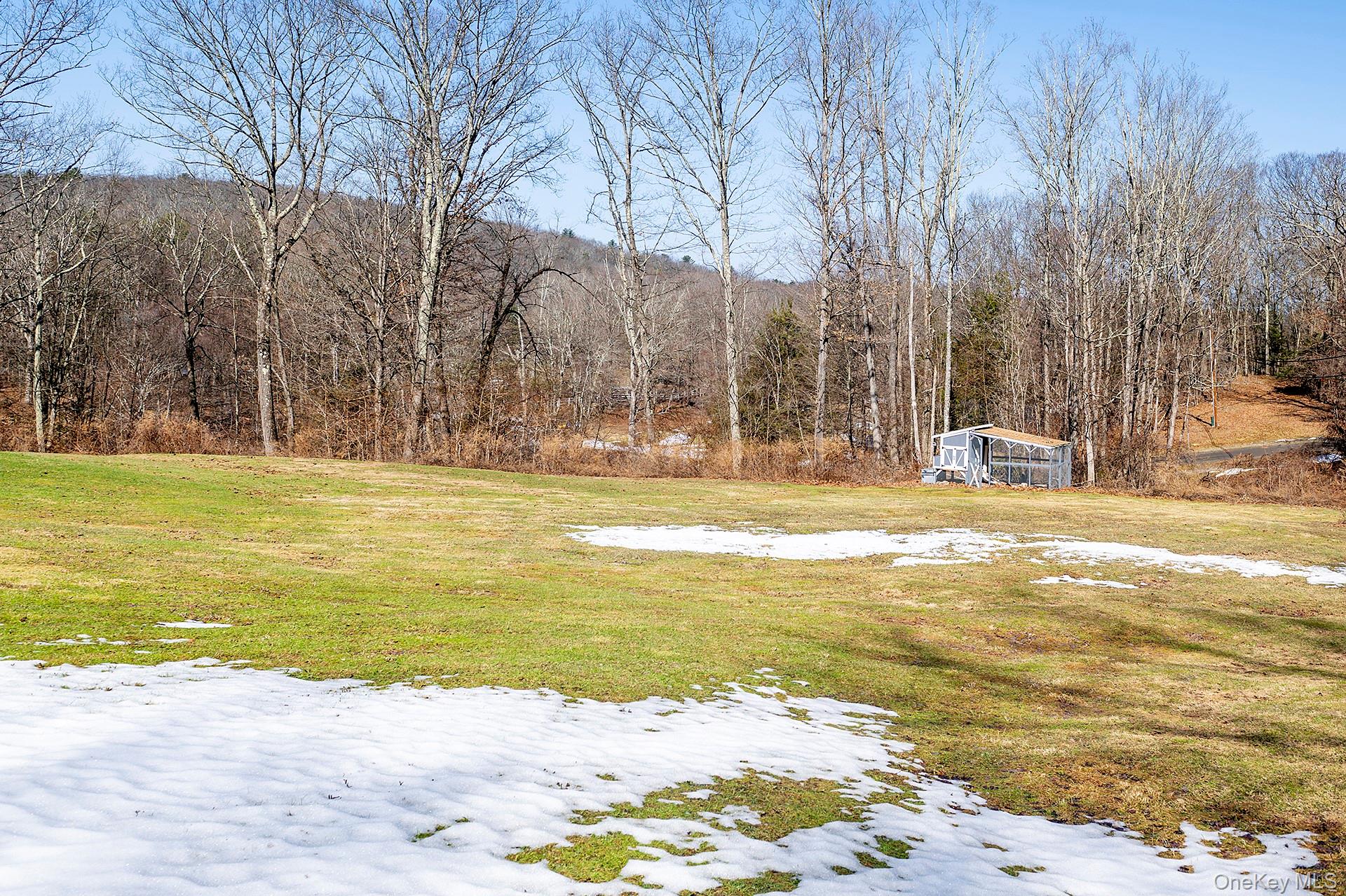 269 Milewood Road Millbrook, NY 12545 - Photo 30 of 40