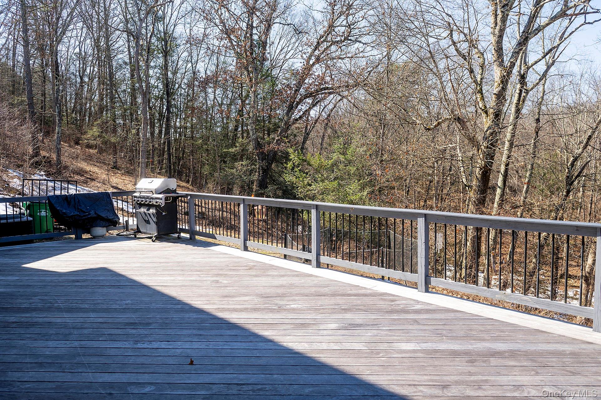 269 Milewood Road Millbrook, NY 12545 - Photo 36 of 40