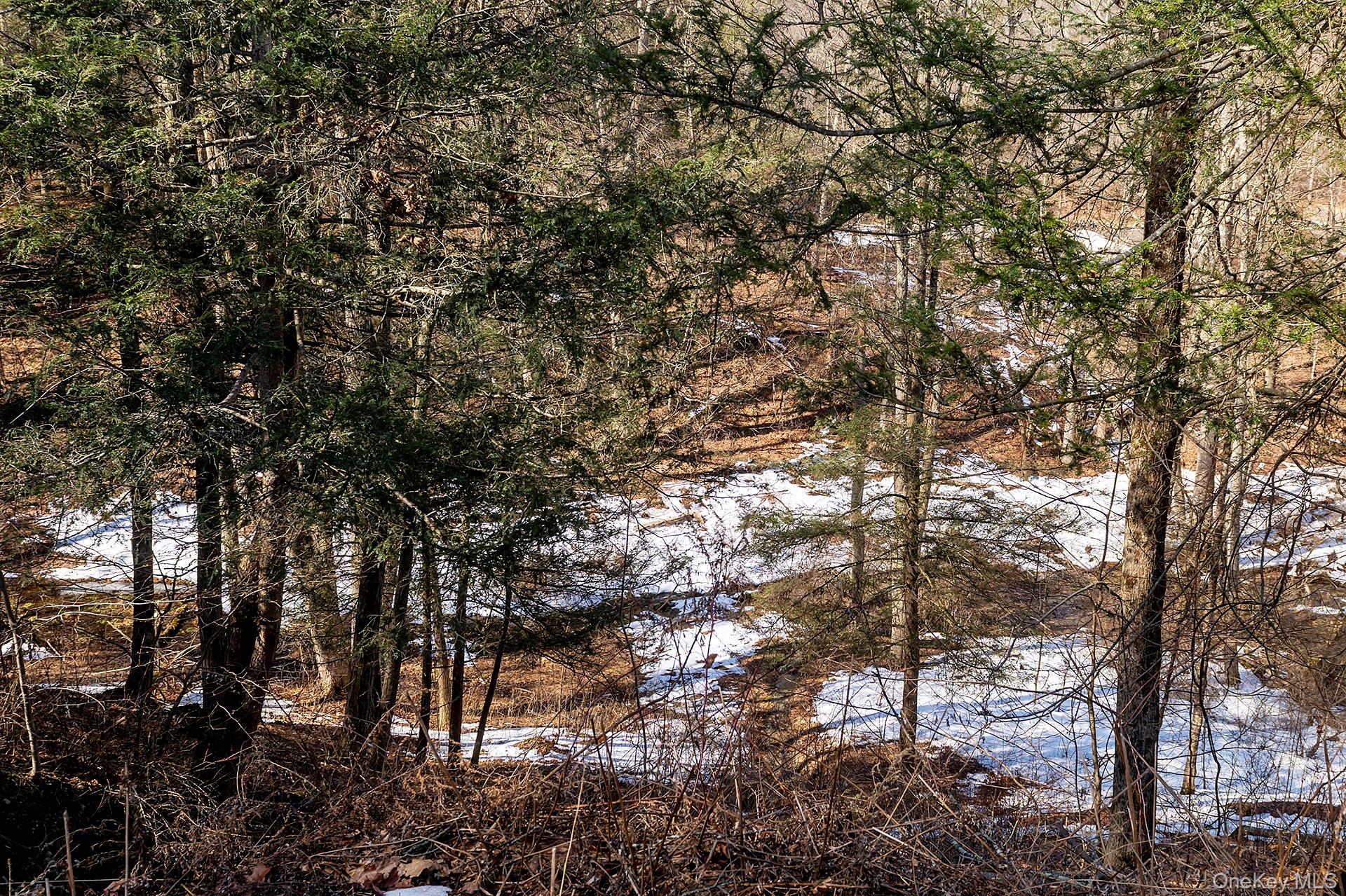 269 Milewood Road Millbrook, NY 12545 - Photo 39 of 40