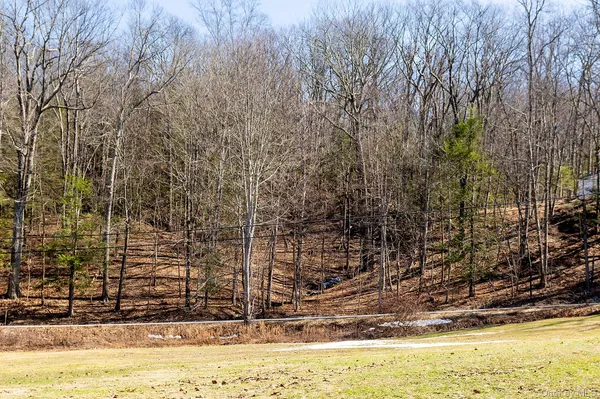 $725,000 | 269 Milewood Road, Millbrook, NY 12545