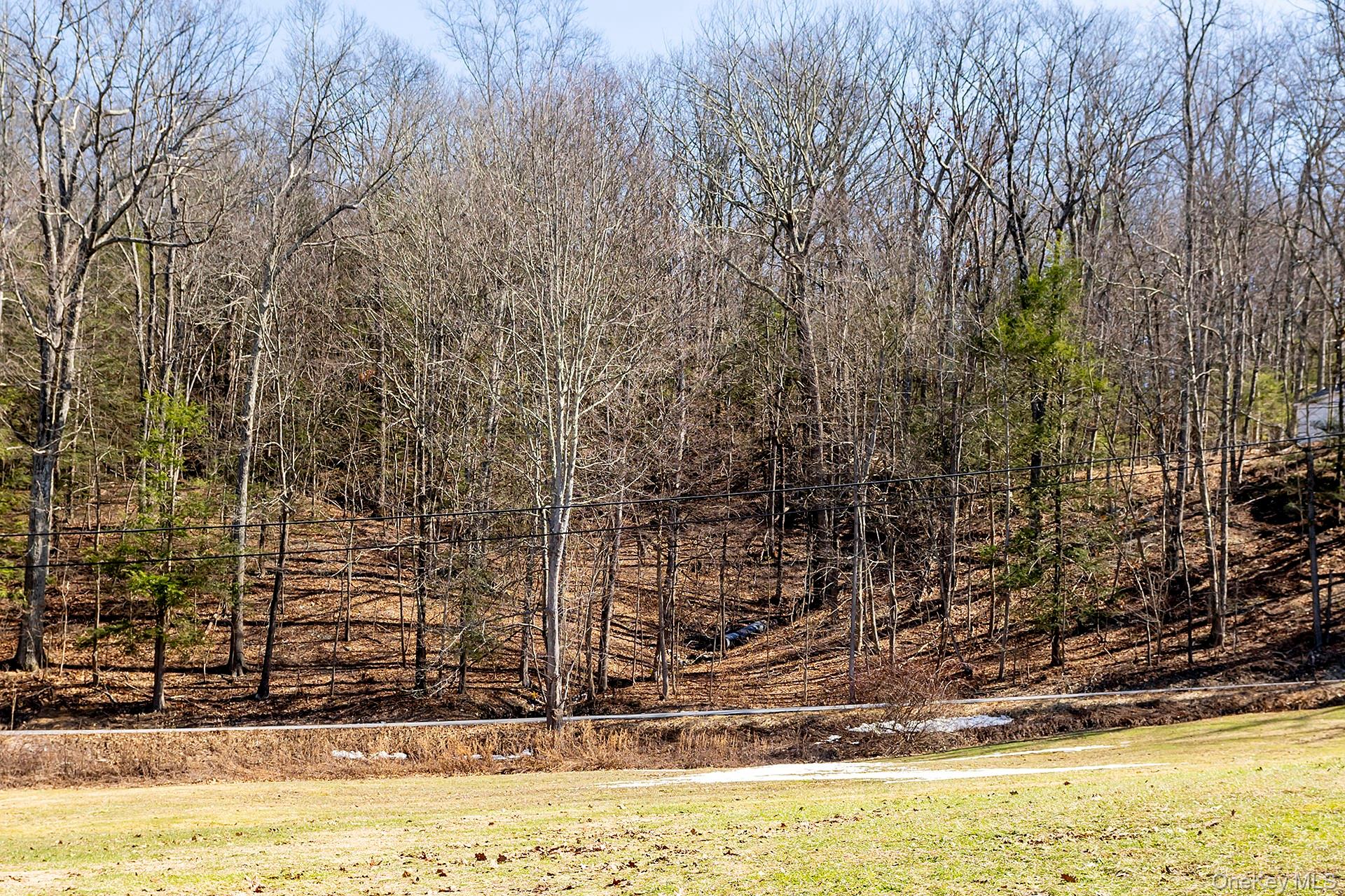 269 Milewood Road Millbrook, NY 12545 - Photo 40 of 40