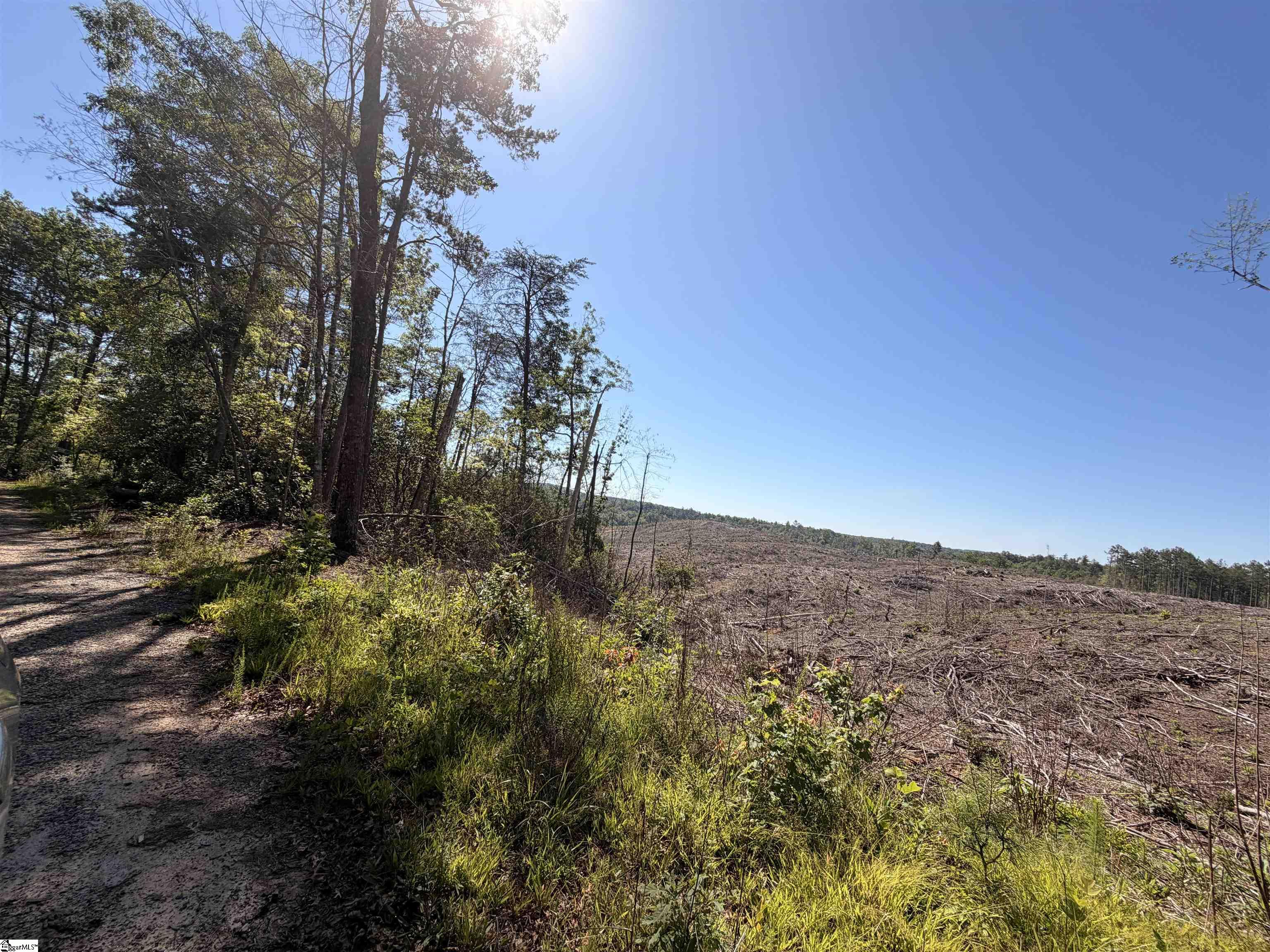 309 Knox Creek Road Tamassee, SC 29686 - Photo 11 of 11