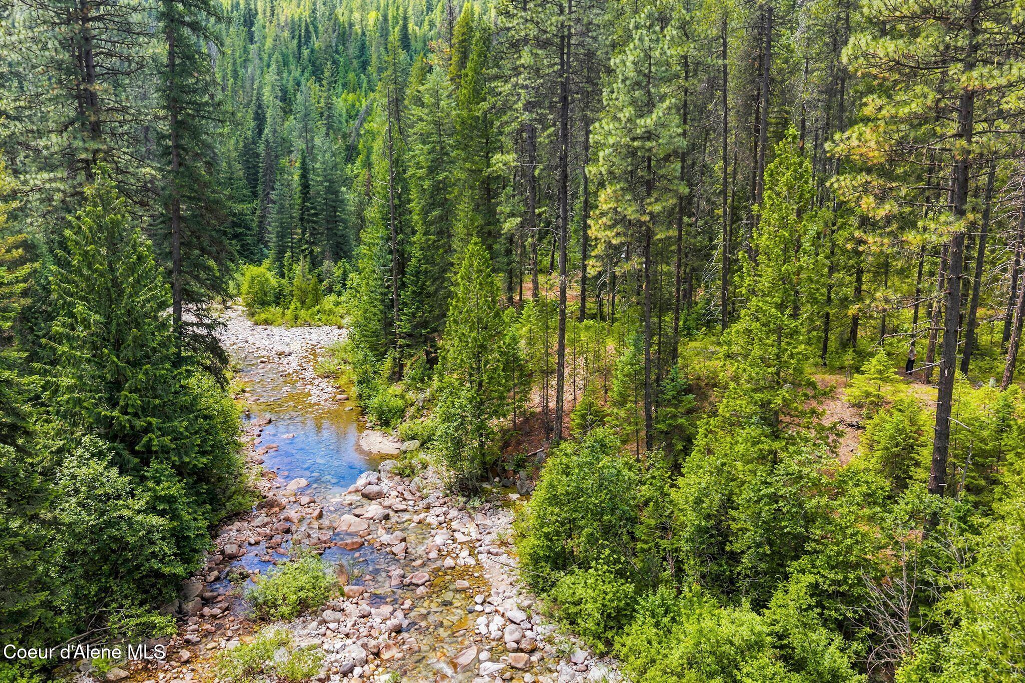 Nna Lantern Lane Sandpoint, ID 83864 - Photo 11 of 29 4_DJI_20260703035200_0873_D