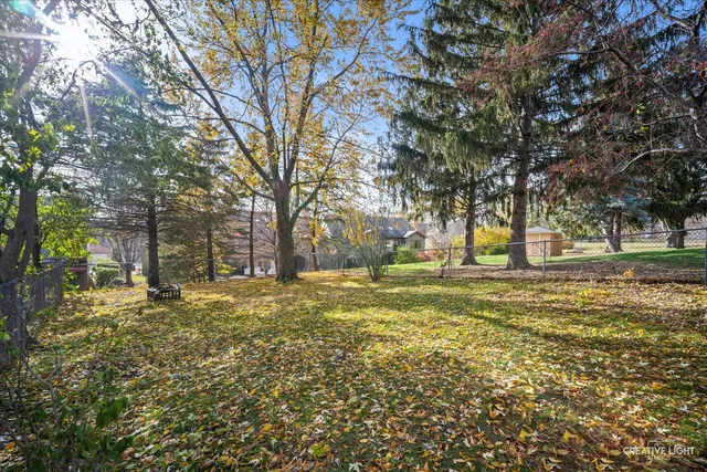 a view of yard with trees