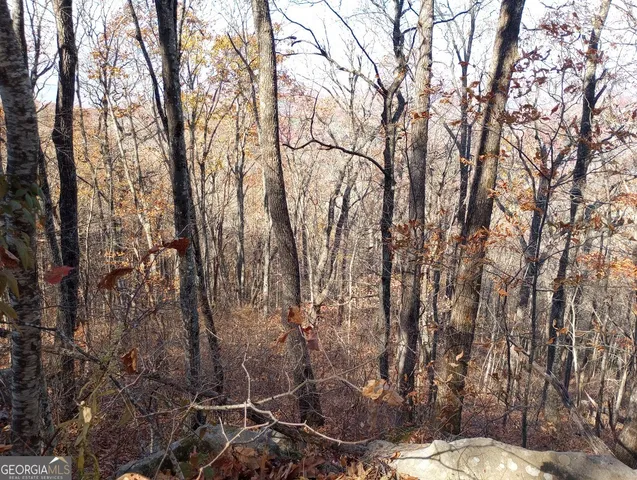 $38,000 | 25 Alex Mountain, Sky Valley, GA 30537