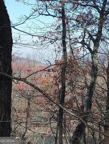 $38,000 | 25 Alex Mountain, Sky Valley, GA 30537