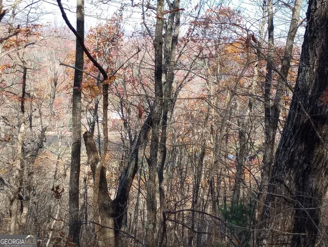 $38,000 | 25 Alex Mountain, Sky Valley, GA 30537