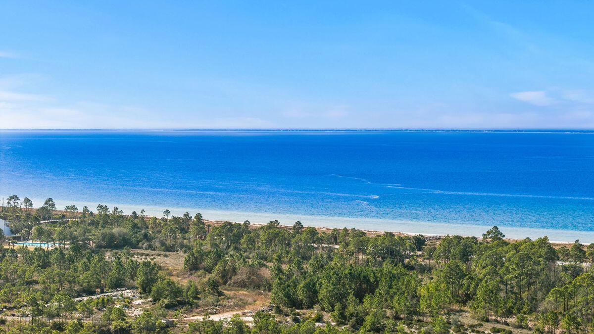 774 Backwater Road Port St. Joe, FL 32456 - Photo 53 of 65 photo_online_052