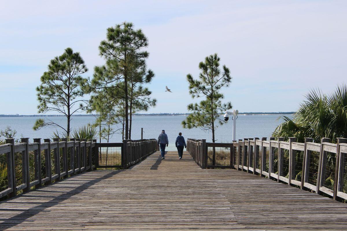 774 Backwater Road Port St. Joe, FL 32456 - Photo 60 of 65 photo_online_059