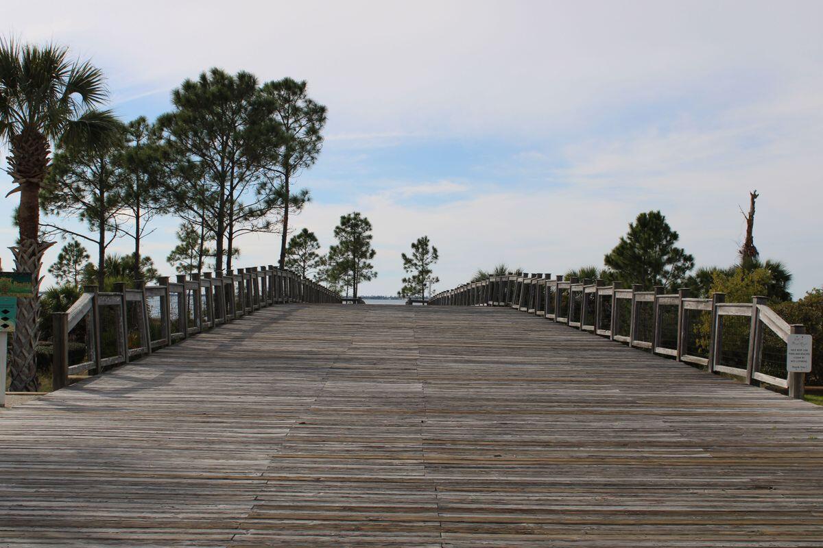 774 Backwater Road Port St. Joe, FL 32456 - Photo 61 of 65 a view of a terrace