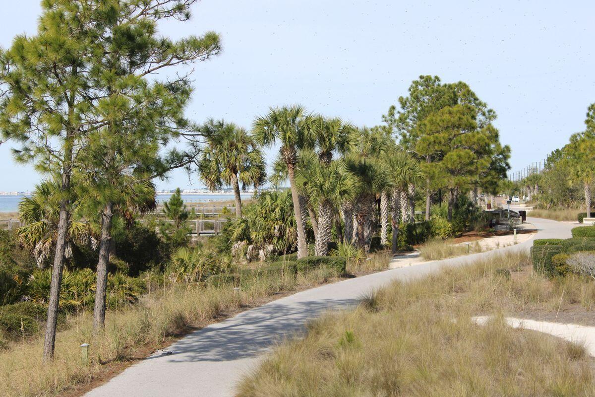 774 Backwater Road Port St. Joe, FL 32456 - Photo 62 of 65 photo_online_061