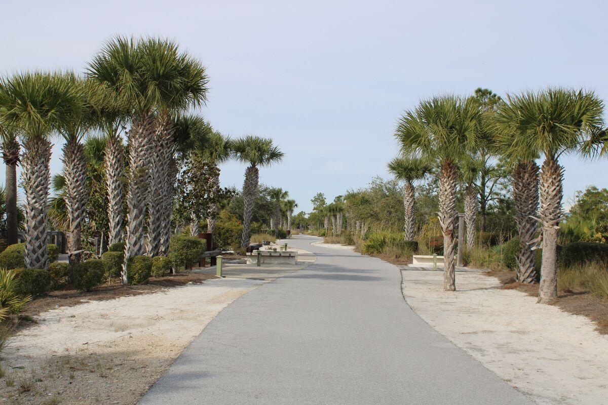 774 Backwater Road Port St. Joe, FL 32456 - Photo 63 of 65 a view of a park with palm trees