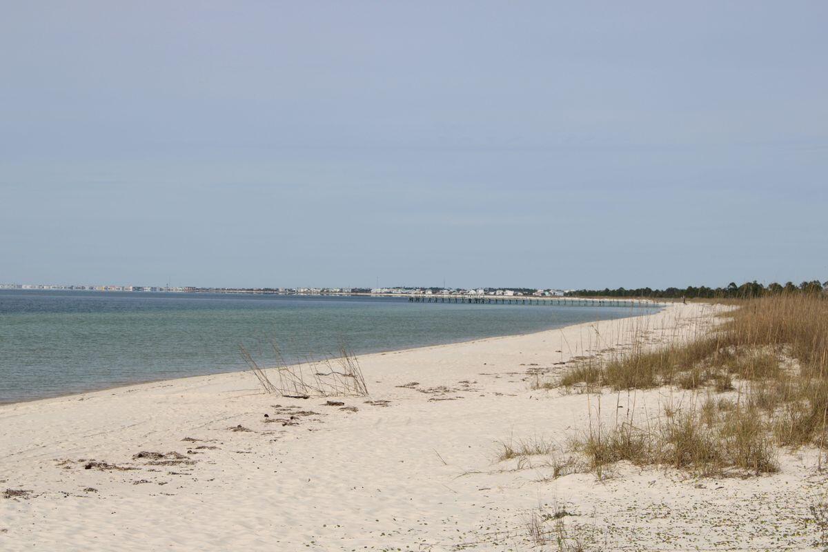 774 Backwater Road Port St. Joe, FL 32456 - Photo 64 of 65 photo_online_063