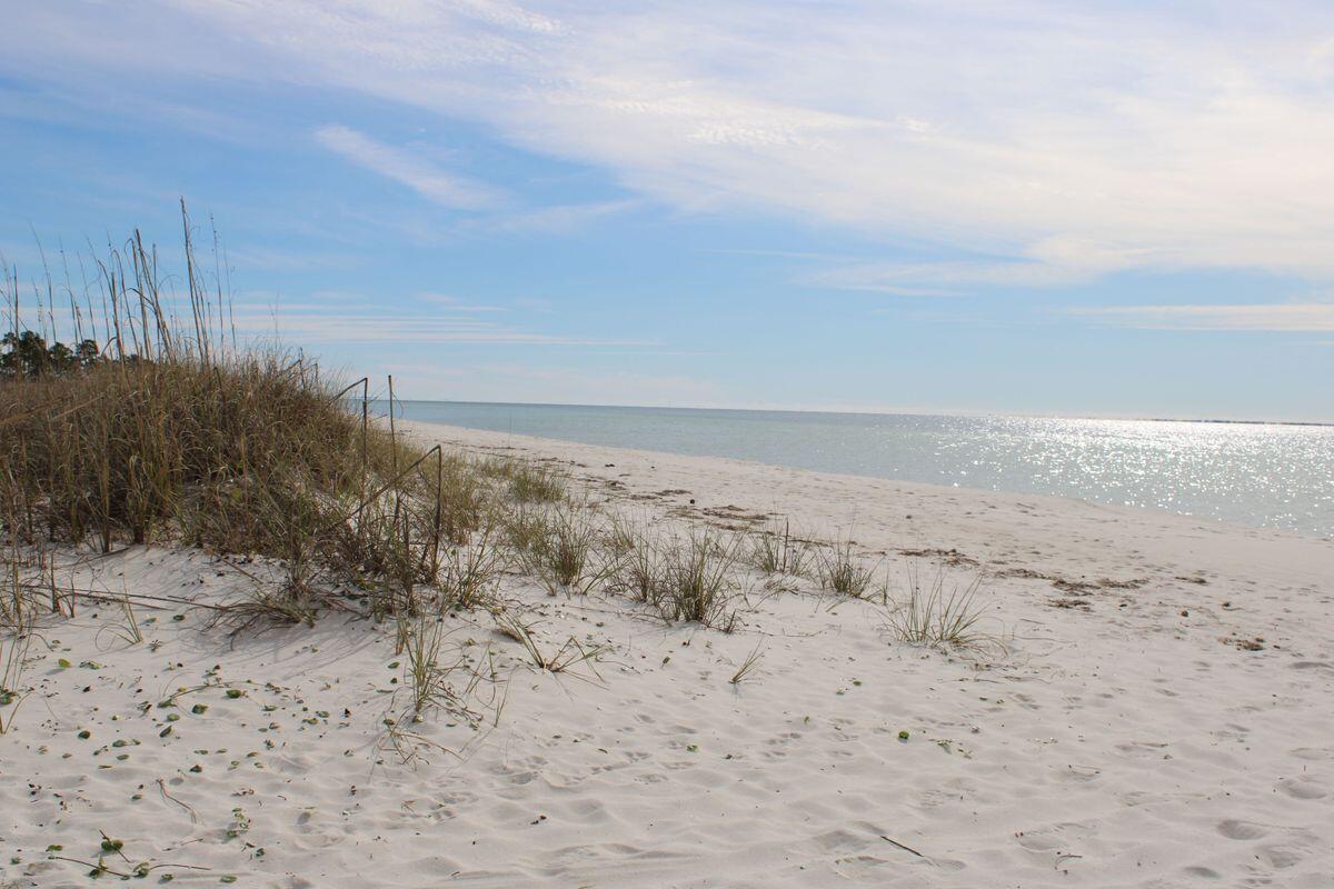 774 Backwater Road Port St. Joe, FL 32456 - Photo 65 of 65 photo_online_064