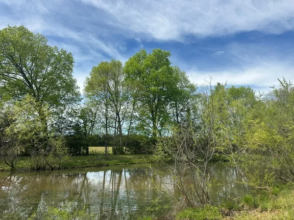 a view of lake