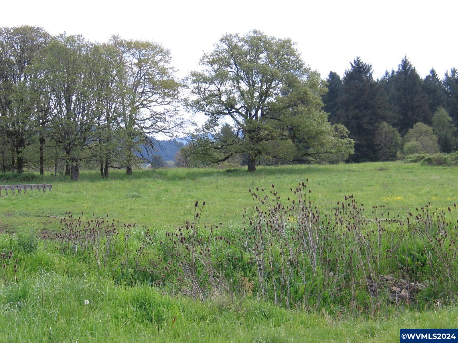 30209 Fairview Road Lebanon, OR 97355 - Photo 30 of 32