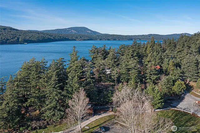 a view of a lake in middle of the forest