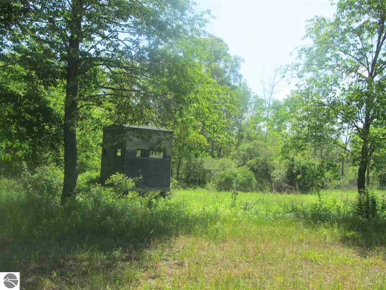 Tbd Tbd Curtis Road Mount Pleasant, MI 48858 - Photo 4 of 8 1786164-3.JPG