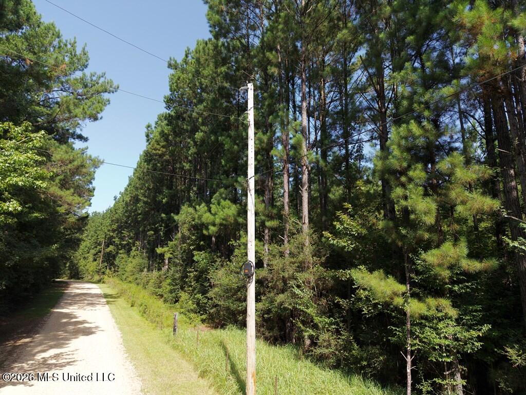 Remington Road Poplarville, MS 39470 - Photo 7 of 13 IMG_1617