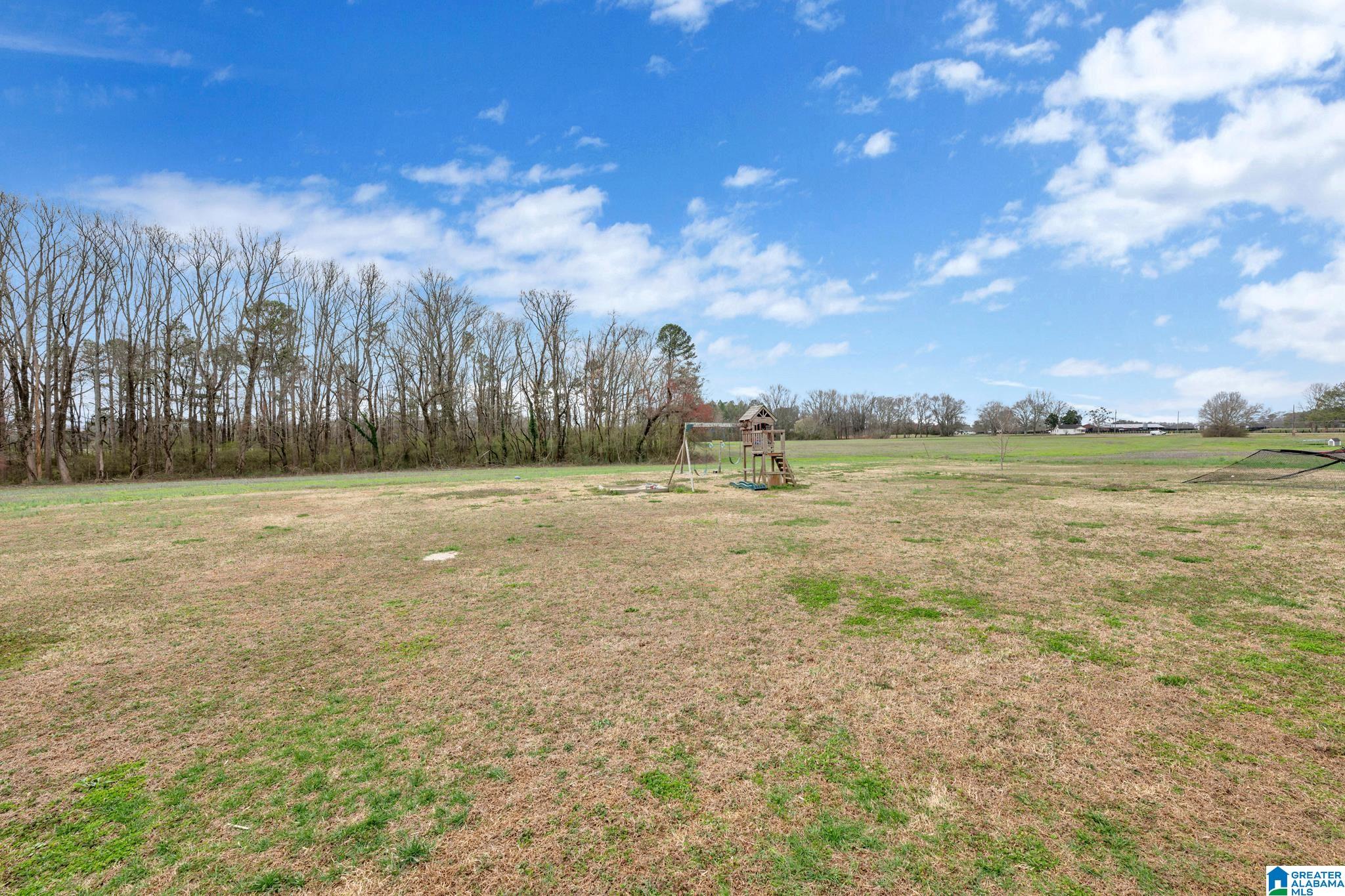 179 Timberline Drive Arab, AL 35016 - Photo 7 of 45