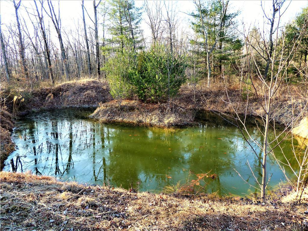 8104 Skeet Club Road Slatington, PA 18080 - Photo 43 of 45 Gallery Image 43