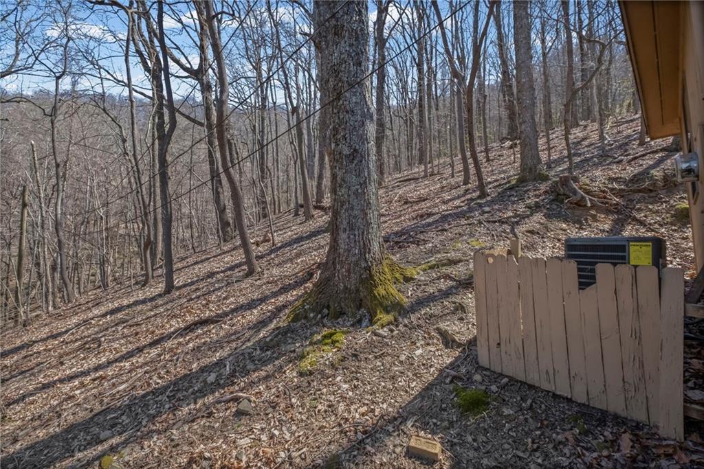 764 Chestnut Cove Trail Jasper, GA 30143 - Photo 27 of 44 a view of a backyard of the house