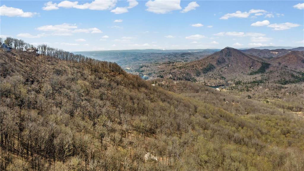 764 Chestnut Cove Trail Jasper, GA 30143 - Photo 29 of 44 a view of mountain view with lots of trees