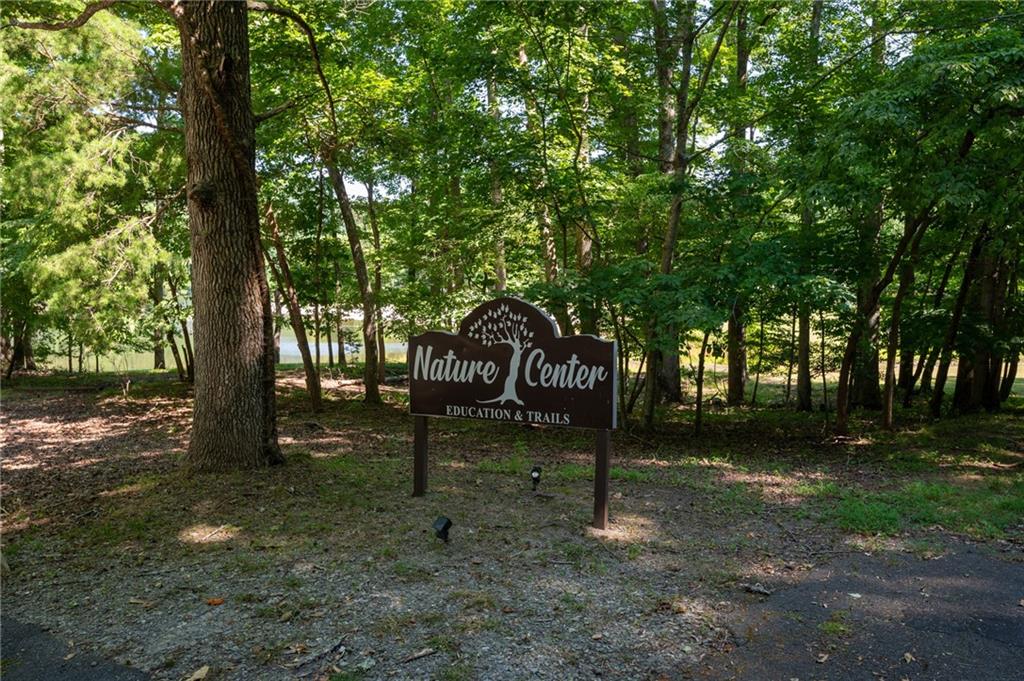 764 Chestnut Cove Trail Jasper, GA 30143 - Photo 42 of 44 a view of a park with trees