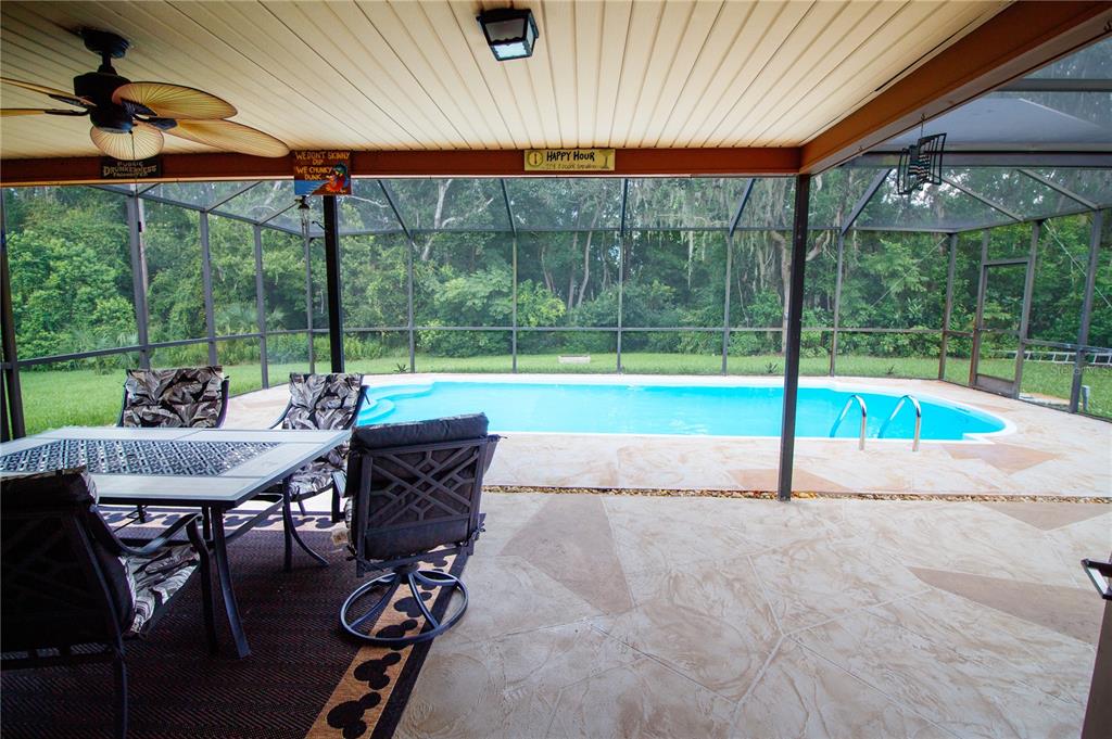 1357 Dinsmore Court New Port Richey, FL 34655 - Photo 21 of 60 a view of a patio with a table chairs and a small yard