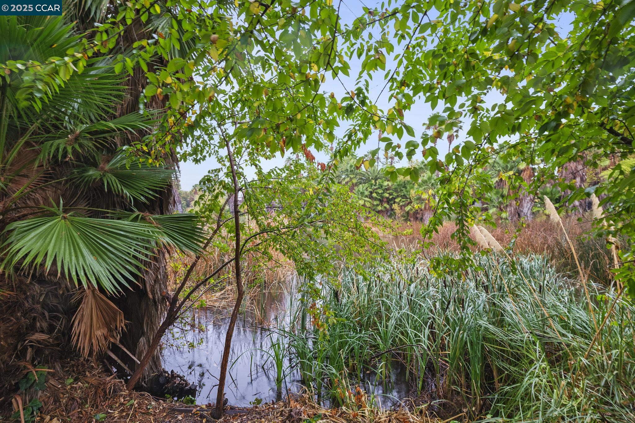 1867 Toyon Drive Concord, CA 94520 - Photo 21 of 23