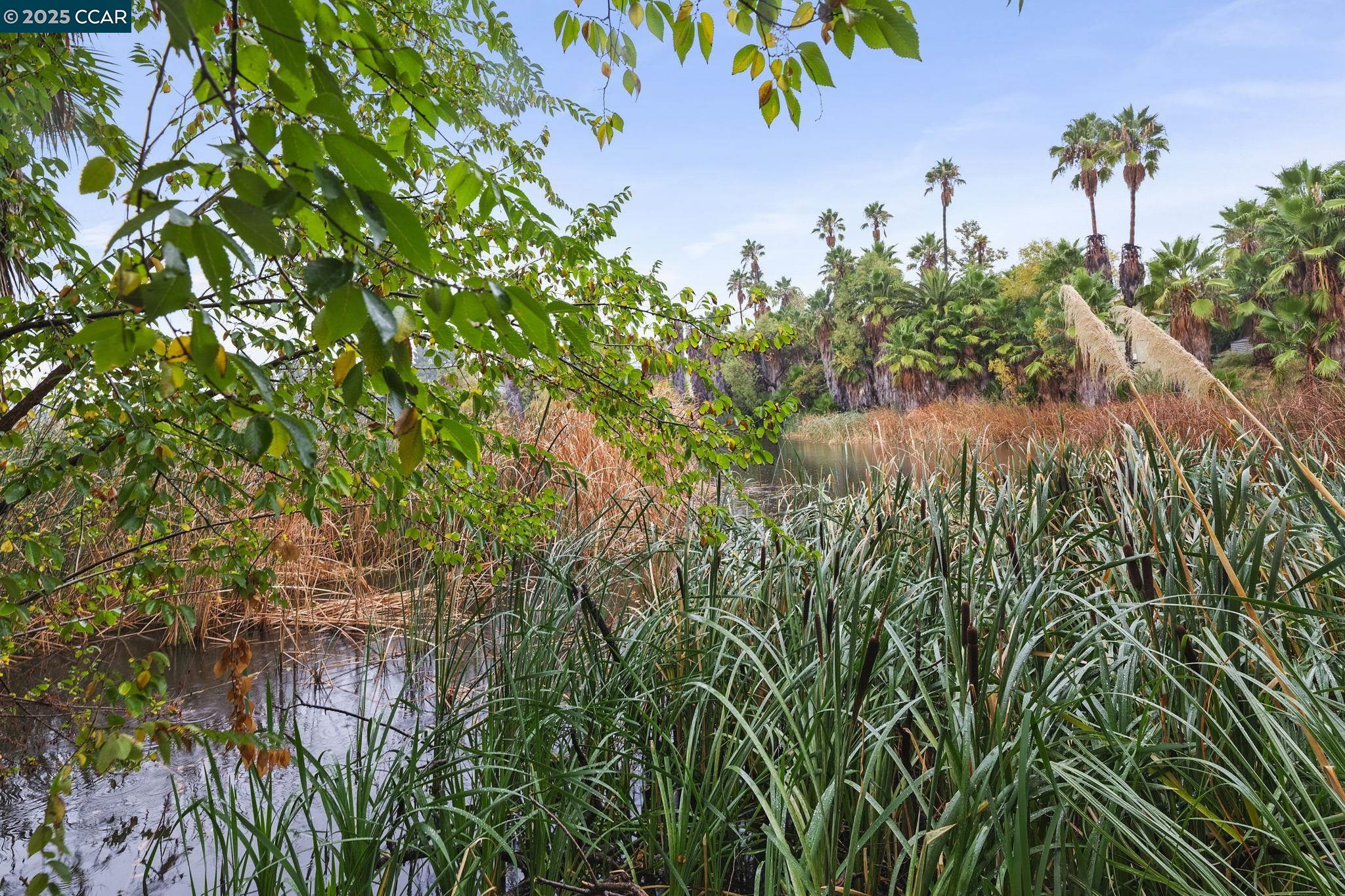 1867 Toyon Drive Concord, CA 94520 - Photo 22 of 23
