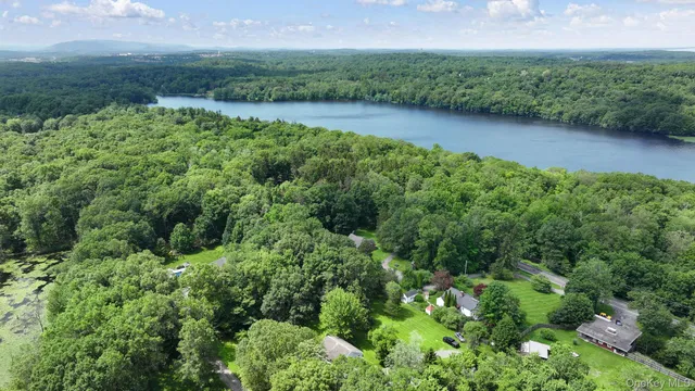 a view of a garden with a lake