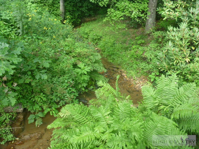 1606 Bee Tree Road Lansing, NC 28643 - Photo 4 of 9 a view of a lush green forest