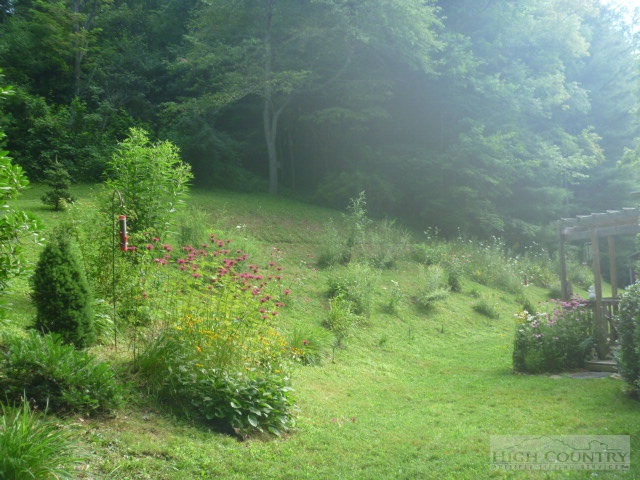 1606 Bee Tree Road Lansing, NC 28643 - Photo 5 of 9 a view of a back yard
