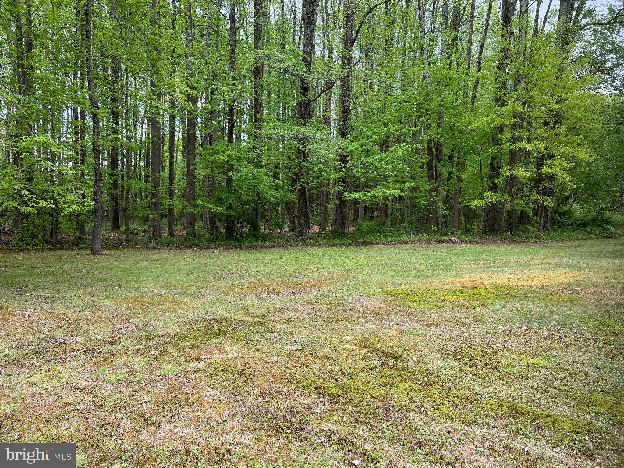 2617 Franklinville Road Joppa, MD 21085 - Photo 11 of 23