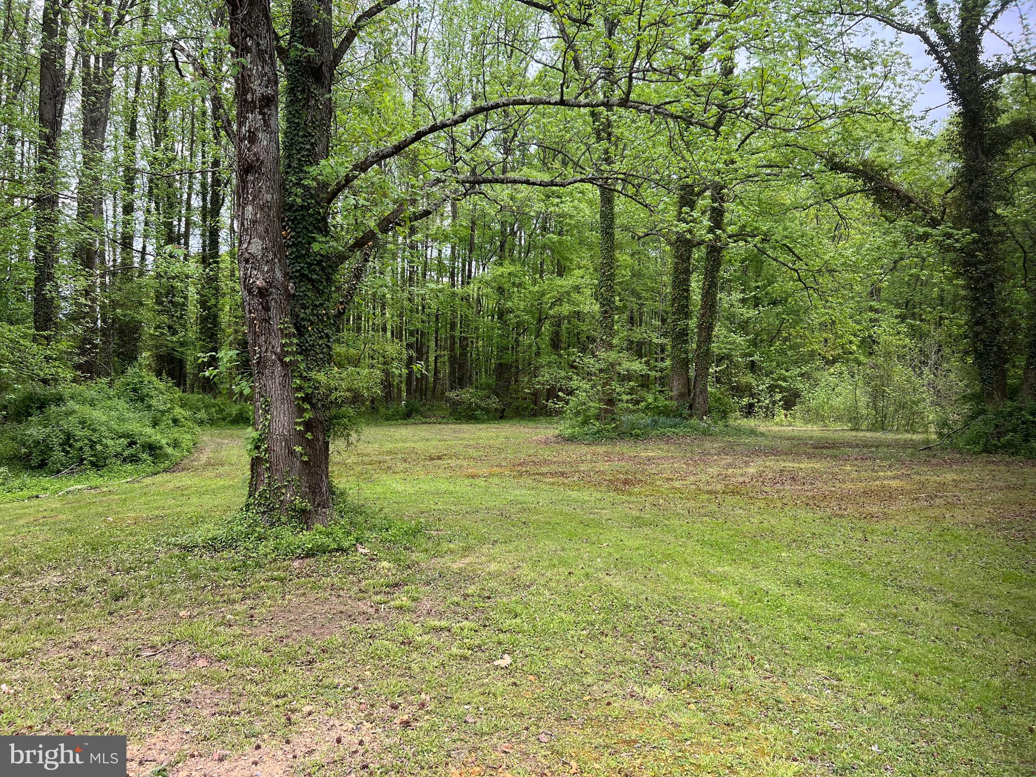 2617 Franklinville Road Joppa, MD 21085 - Photo 10 of 23