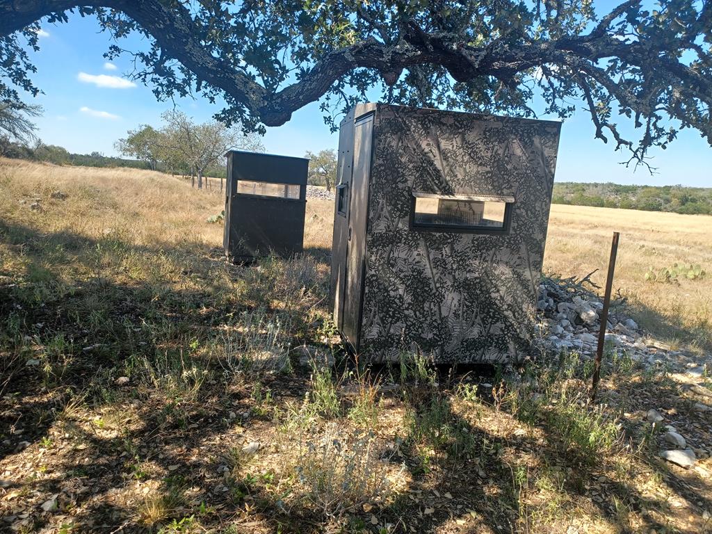 Tbd Lange Road Harper, TX 78631 - Photo 13 of 13 a backyard of a house with lots of green space