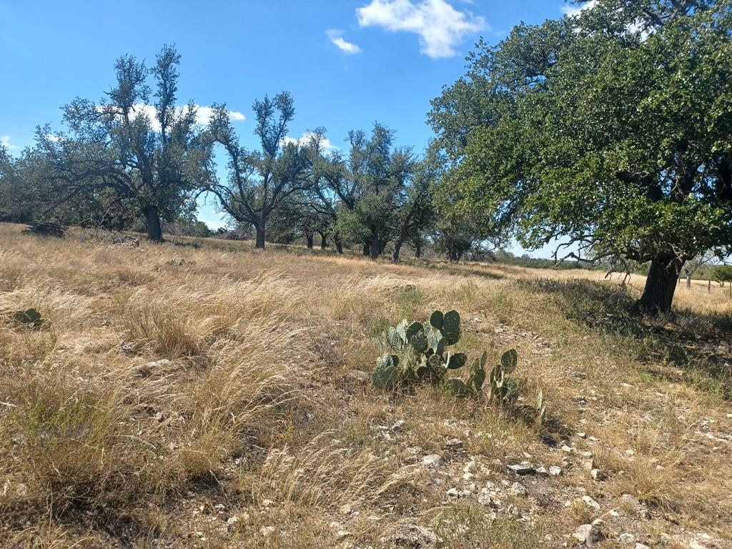 Tbd Lange Road Harper, TX 78631 - Photo 10 of 13 a view of outdoor space and yard