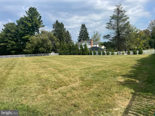 a view of large trees with an outdoor space