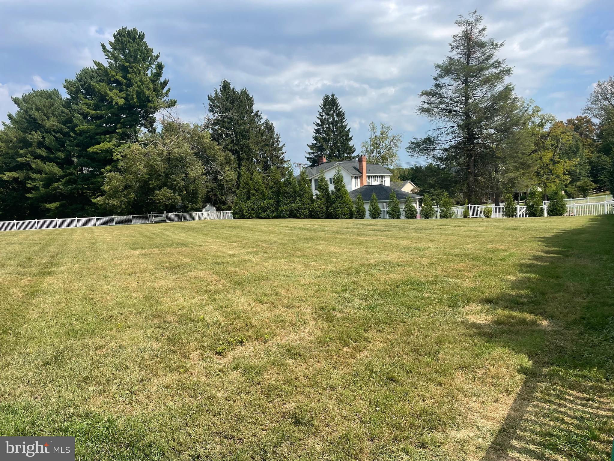 a view of large trees with an outdoor space