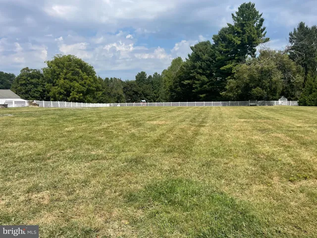 a view of a yard with an outdoor space