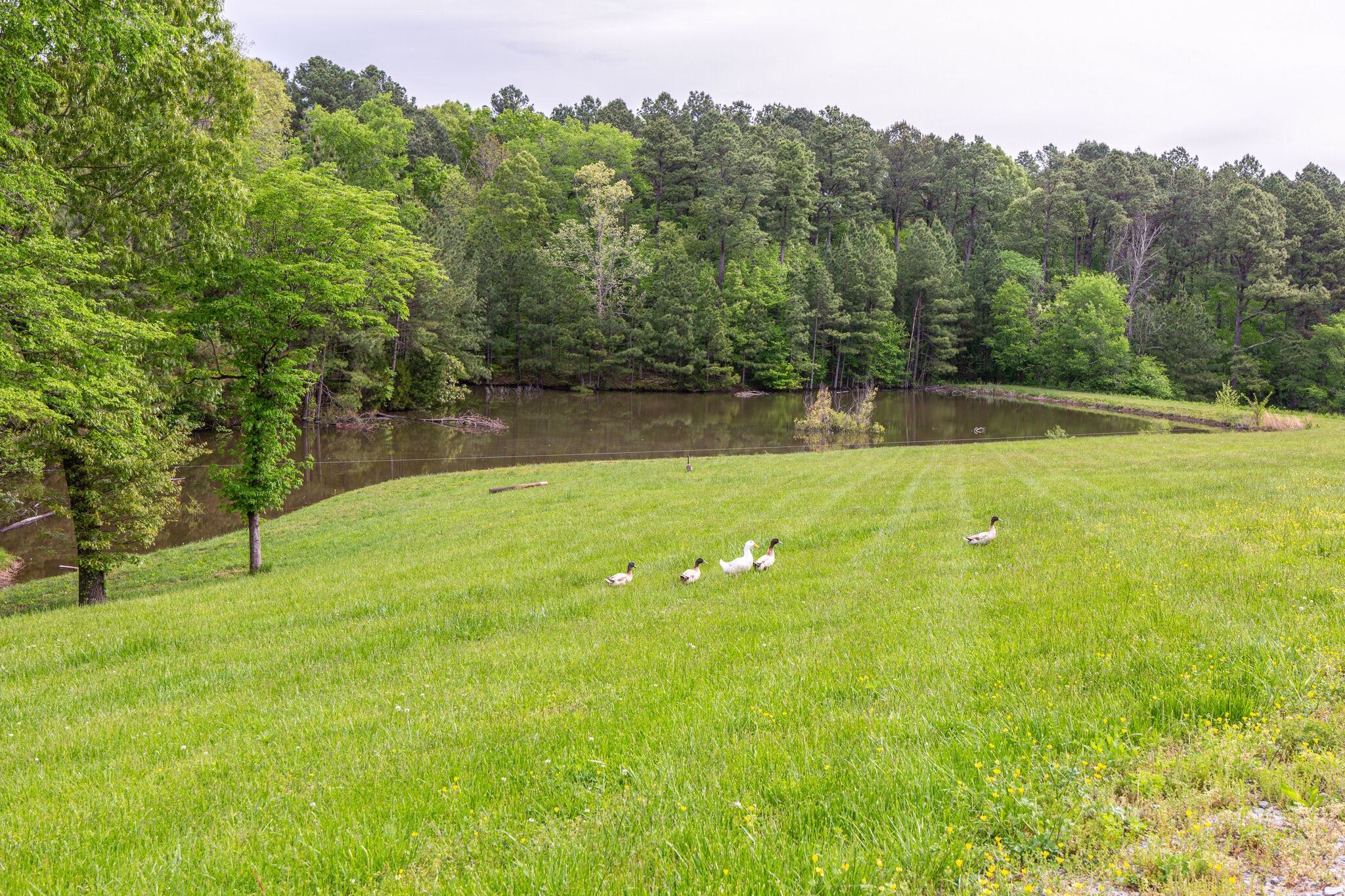 153 Martin Road Bon Aqua, TN 37025 - Photo 36 of 37 Gallery Image 36
