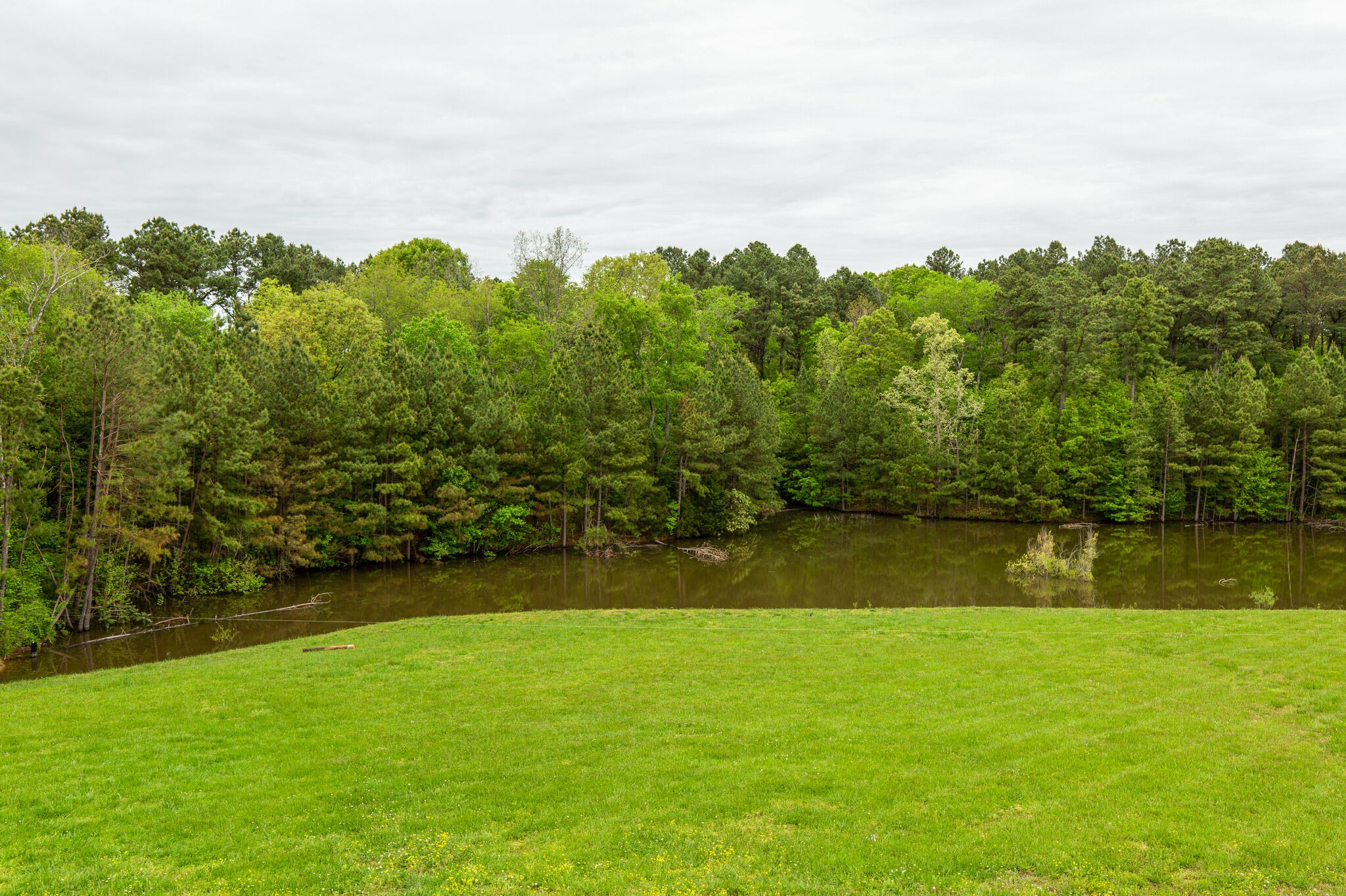 153 Martin Road Bon Aqua, TN 37025 - Photo 37 of 37 Gallery Image 37