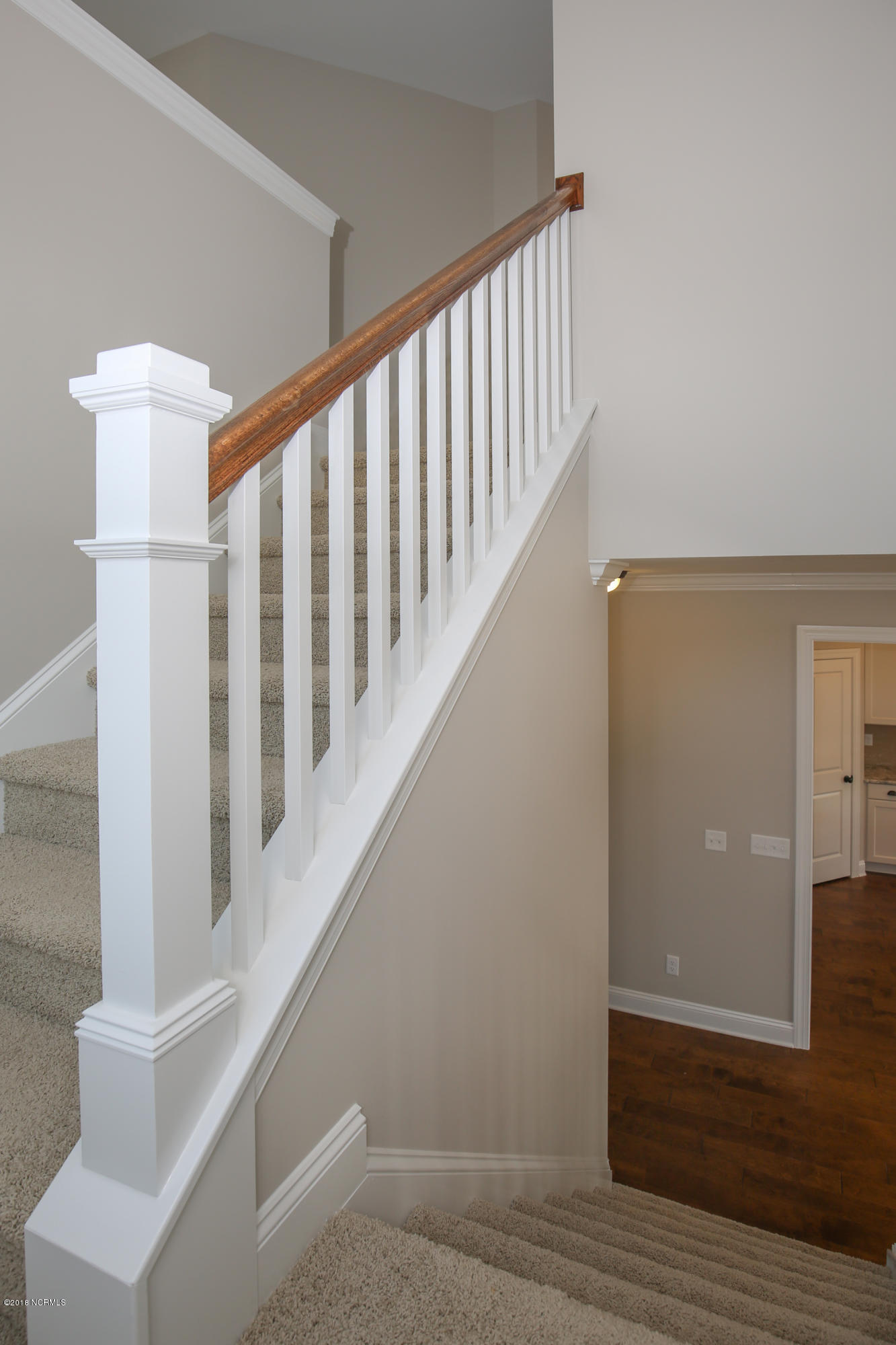 187 Peytons Ridge Drive Hubert, NC 28539 - Photo 56 of 93 untitled-9784