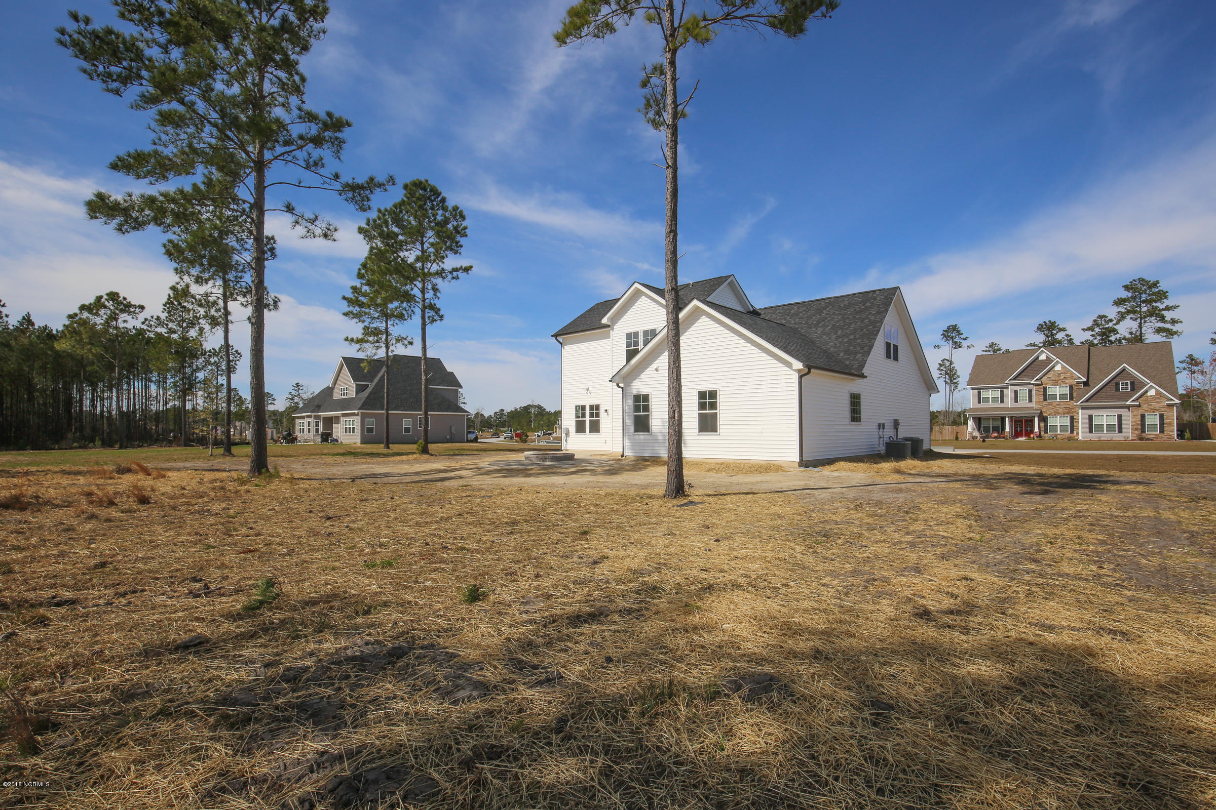 187 Peytons Ridge Drive Hubert, NC 28539 - Photo 83 of 93 untitled-9865