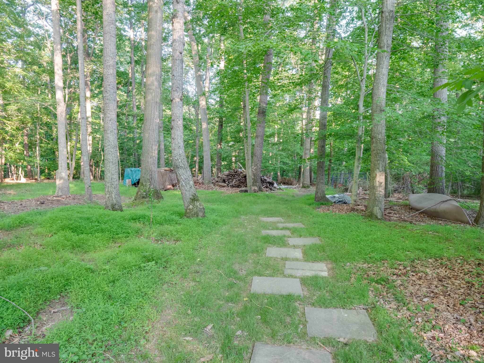 713 Clear Spring Road Great Falls, VA 22066 - Photo 40 of 41 The path invites you back into the woods.