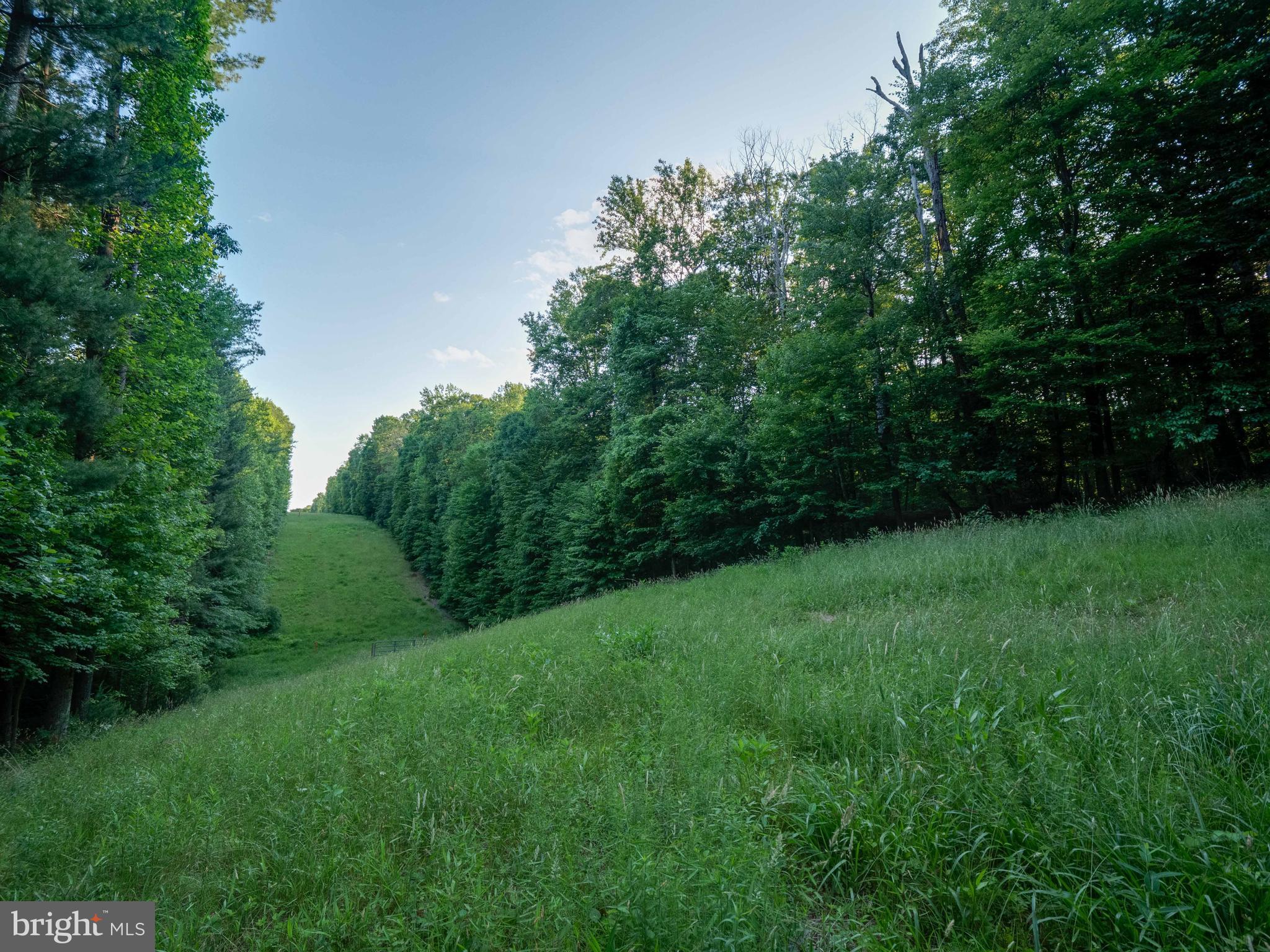 713 Clear Spring Road Great Falls, VA 22066 - Photo 41 of 41 A wide-open meadow at the back of the lot.