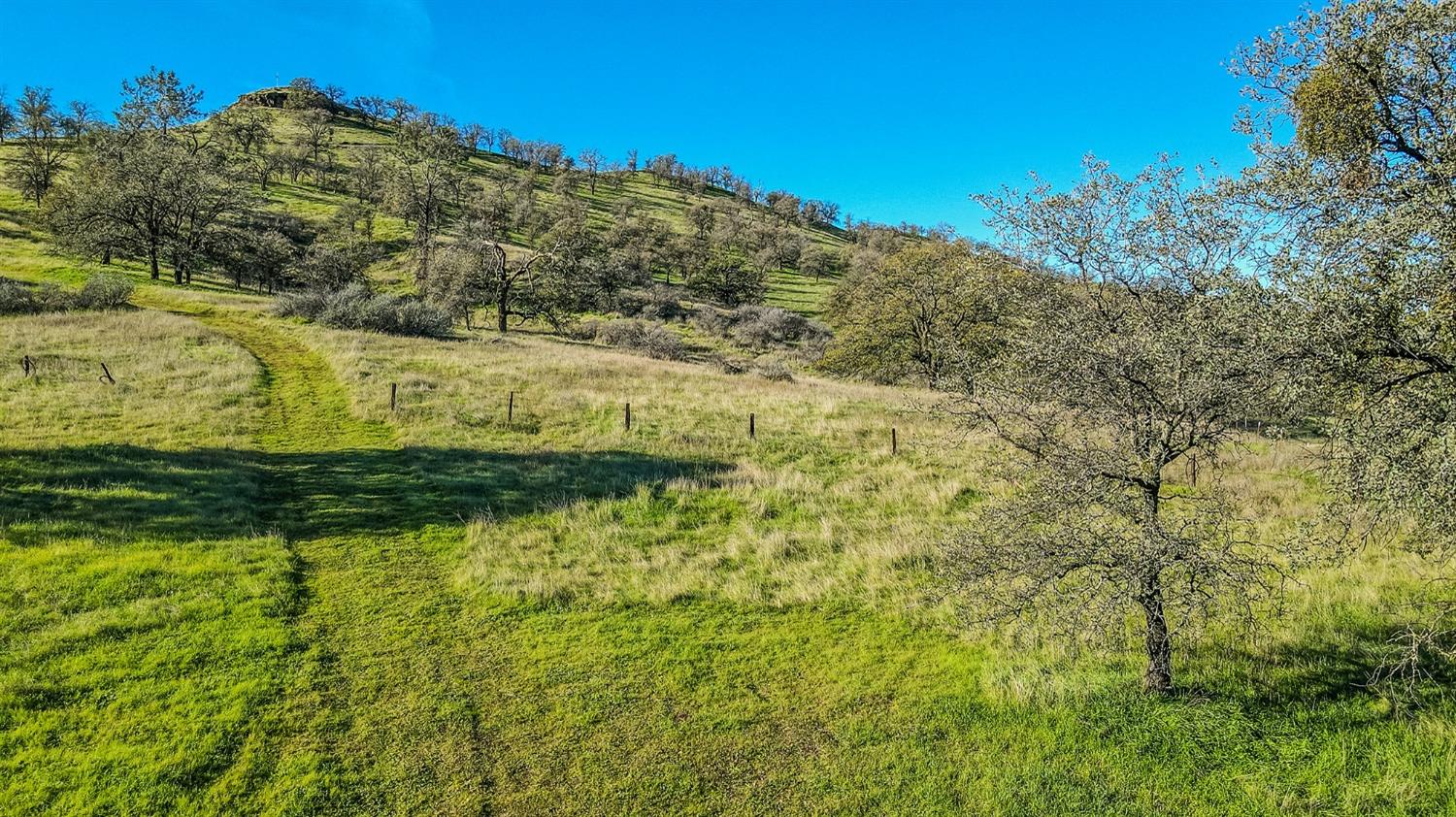 1 Sky Harbour Road Friant, CA 93626 - Photo 2 of 15 Gallery Image 2