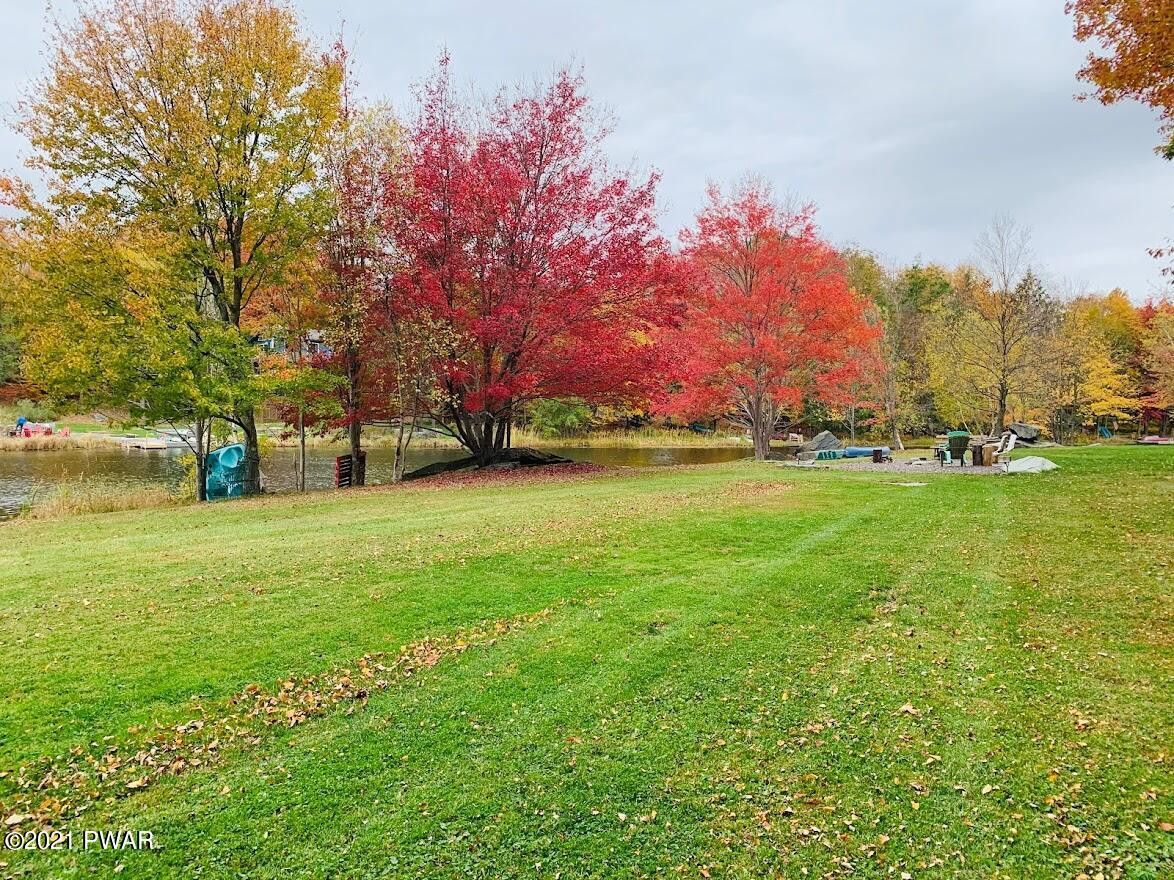 Large Level Lakefront Yard
