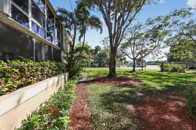 a view of a yard with plants and a large tree